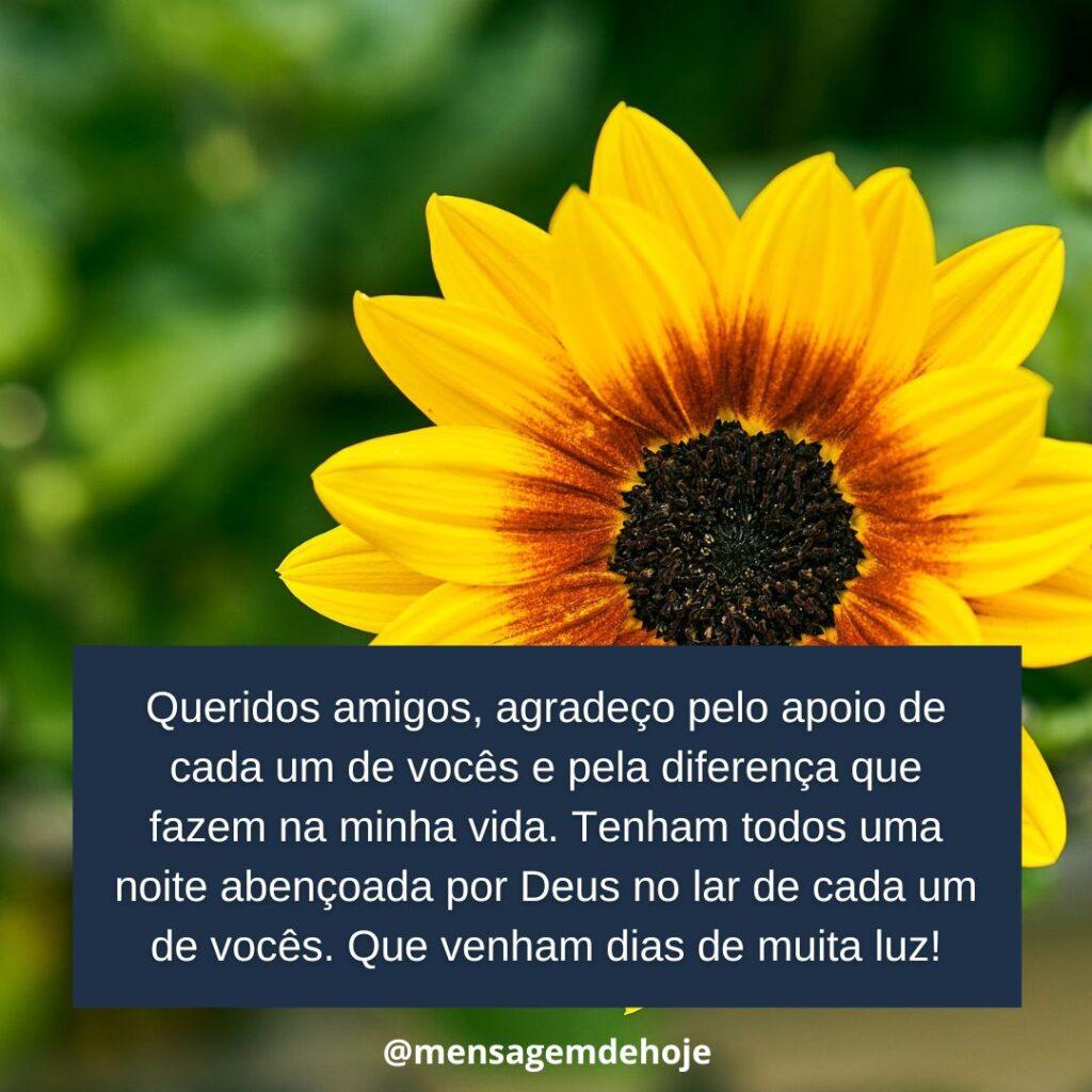 Boa Noite 15 de Janeiro de 2023 7