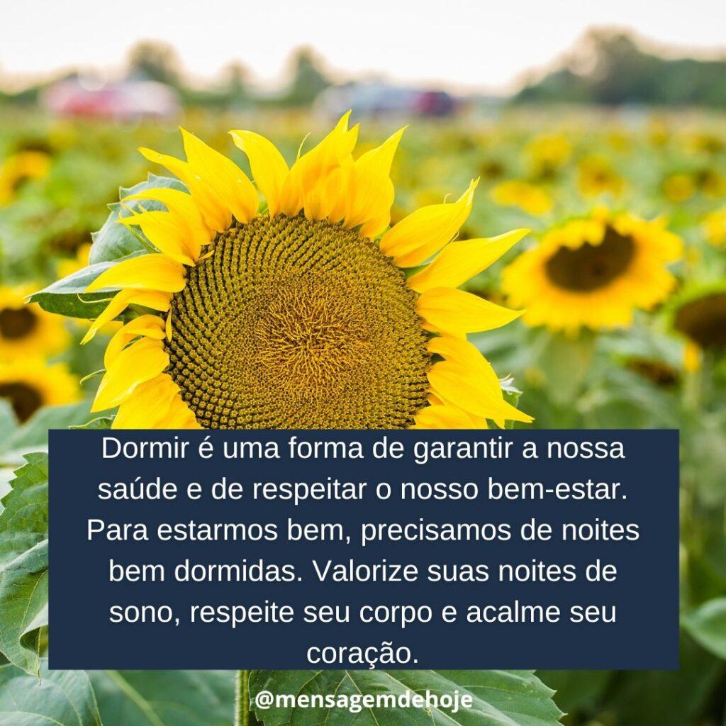 Boa Noite 15 de Janeiro de 2023 11