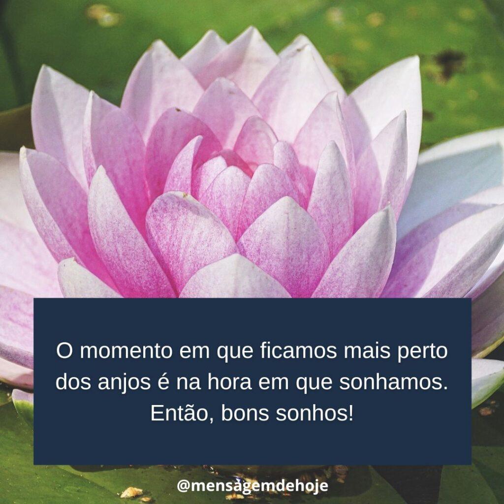 Boa Noite 15 de Janeiro de 2023 15