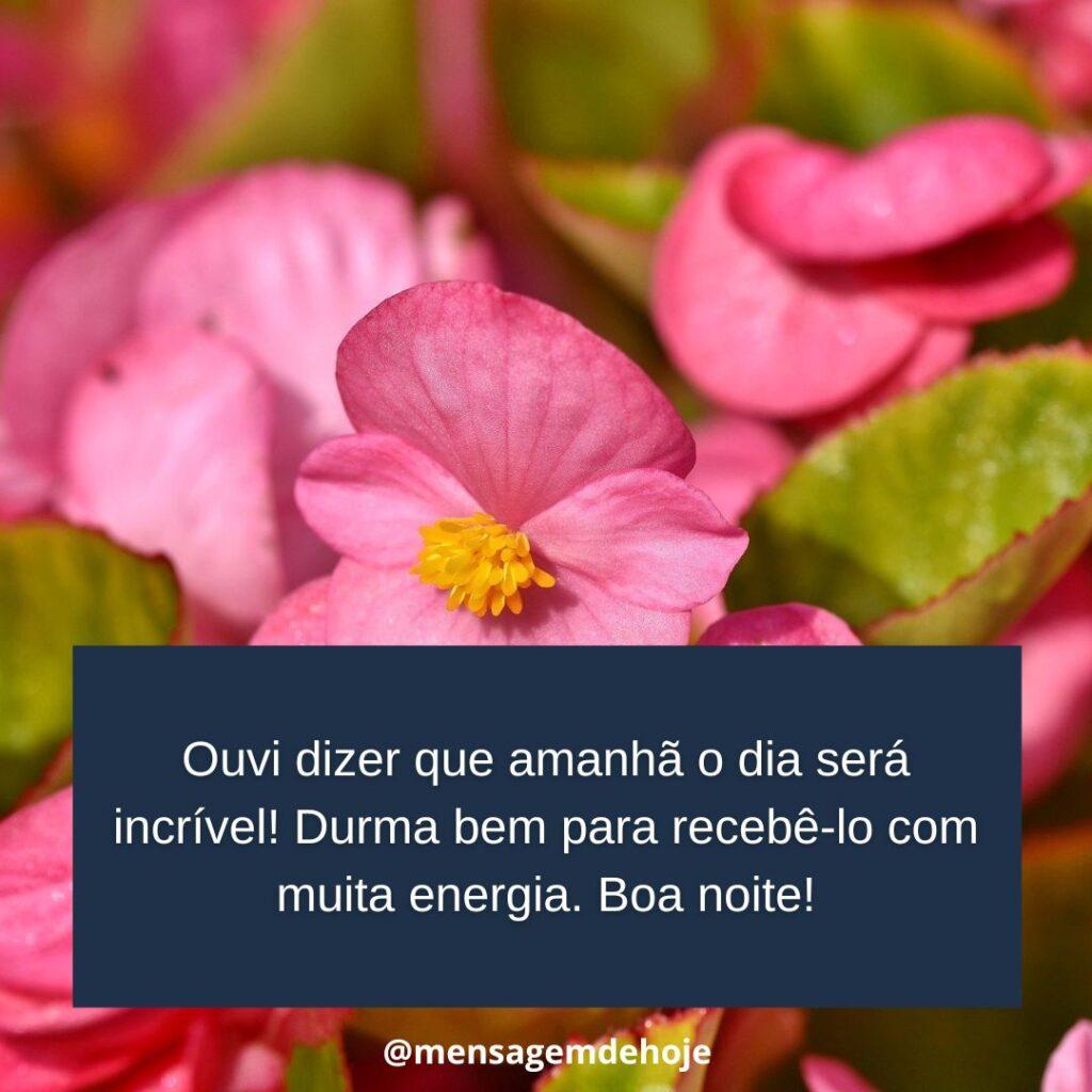 Boa Noite 15 de Janeiro de 2023 19