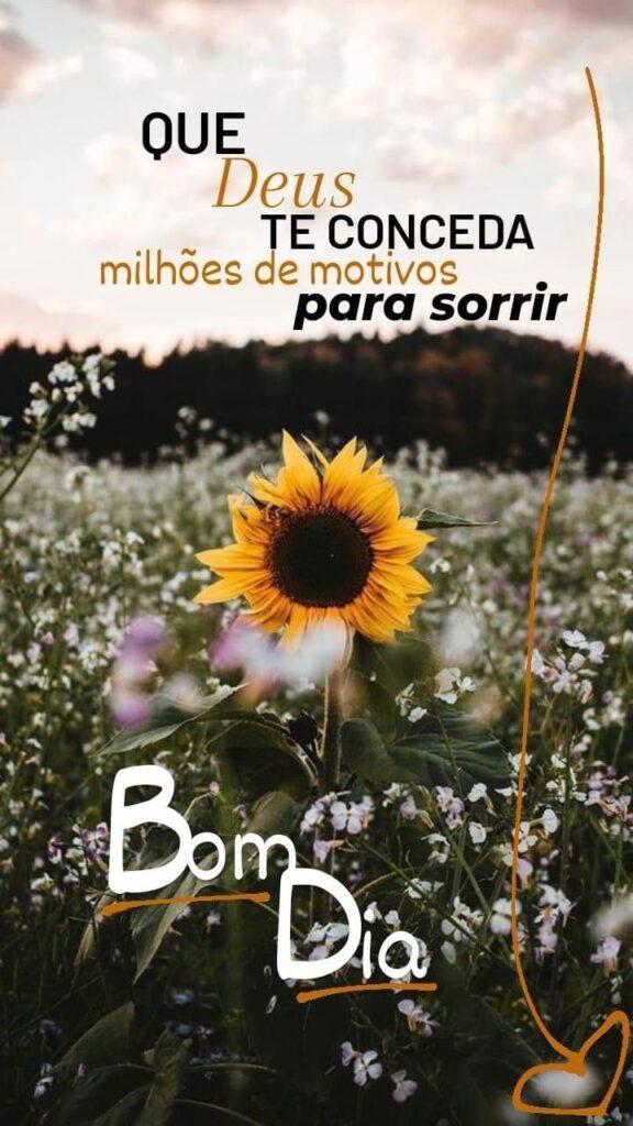 Bom Dia 02 de Janeiro de 2023 39