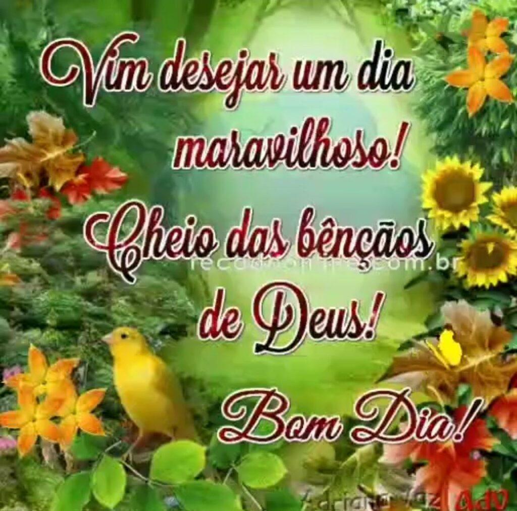 Bom Dia 07 de Janeiro de 2023 29