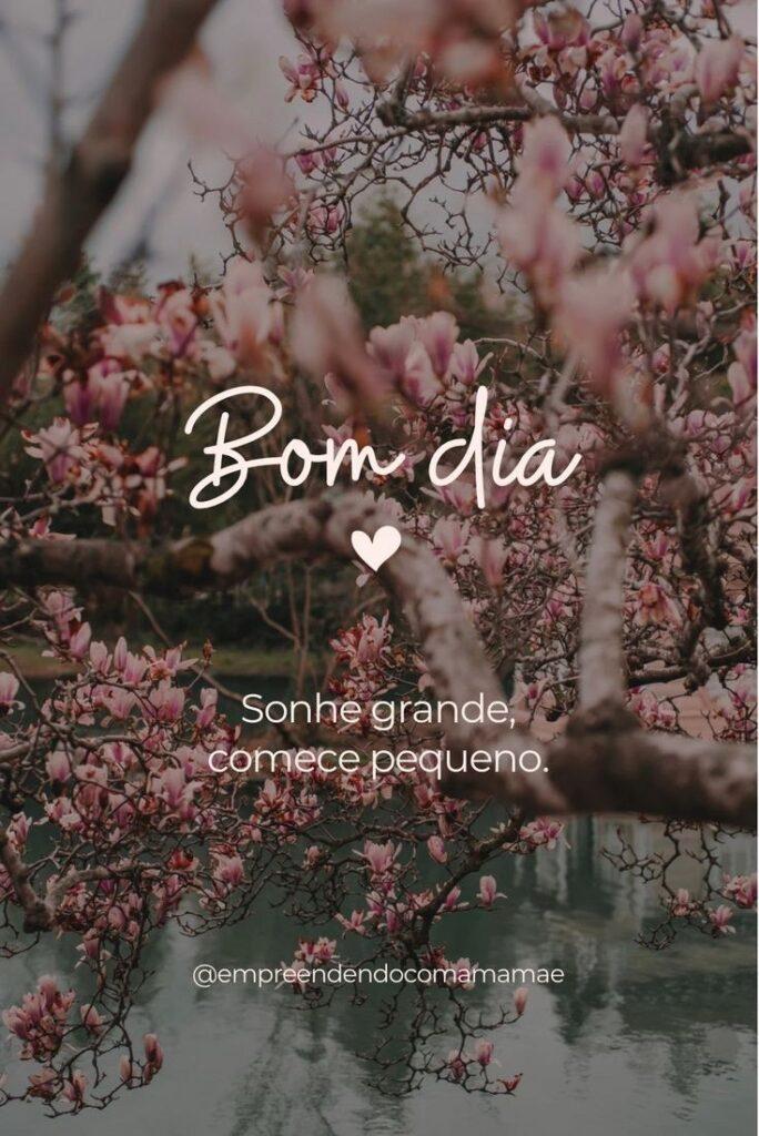 Bom Dia 09 de Janeiro de 2023 27
