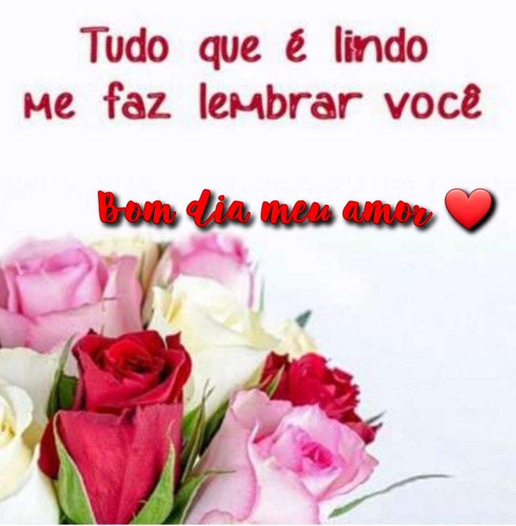 Bom Dia 09 de Janeiro de 2023 39