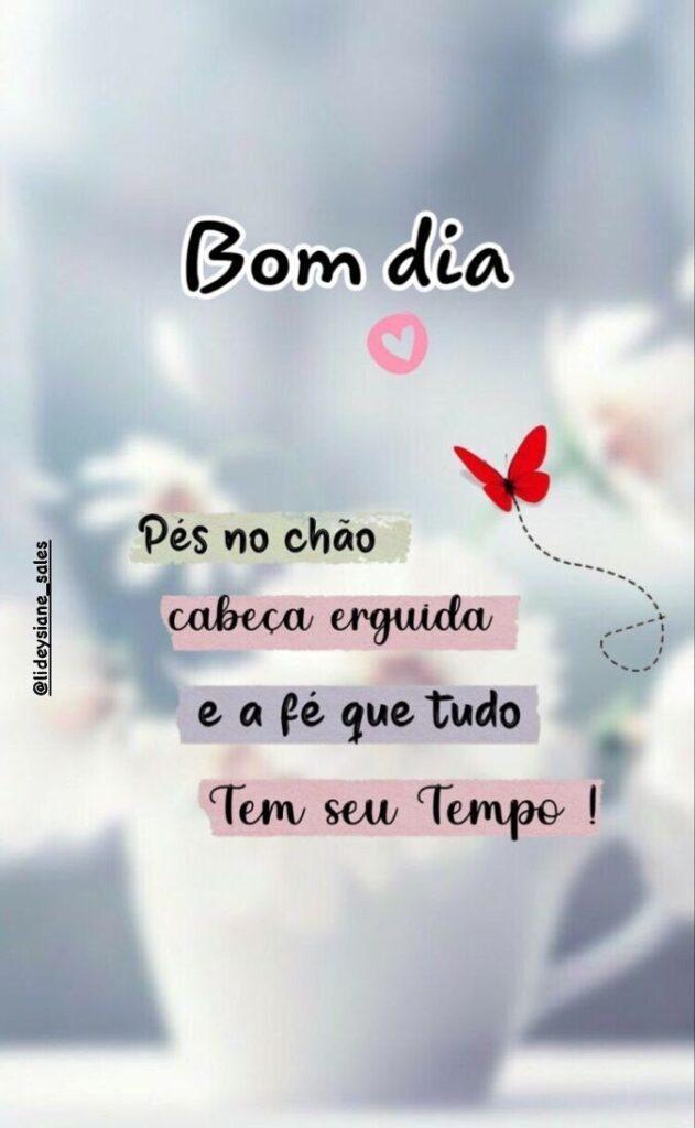 Bom Dia 11 de Janeiro de 2023 25