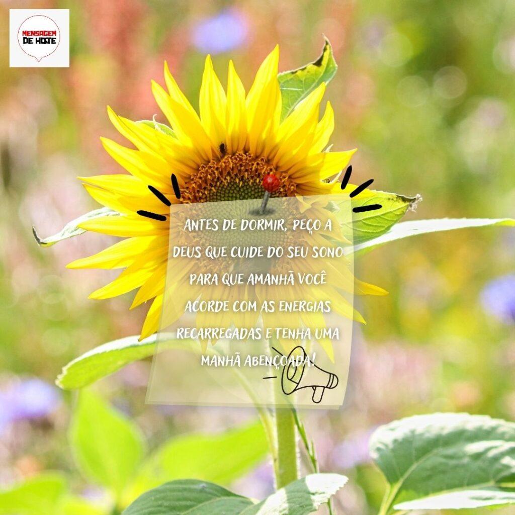 Boa Noite 13 de Fevereiro de 2023 5