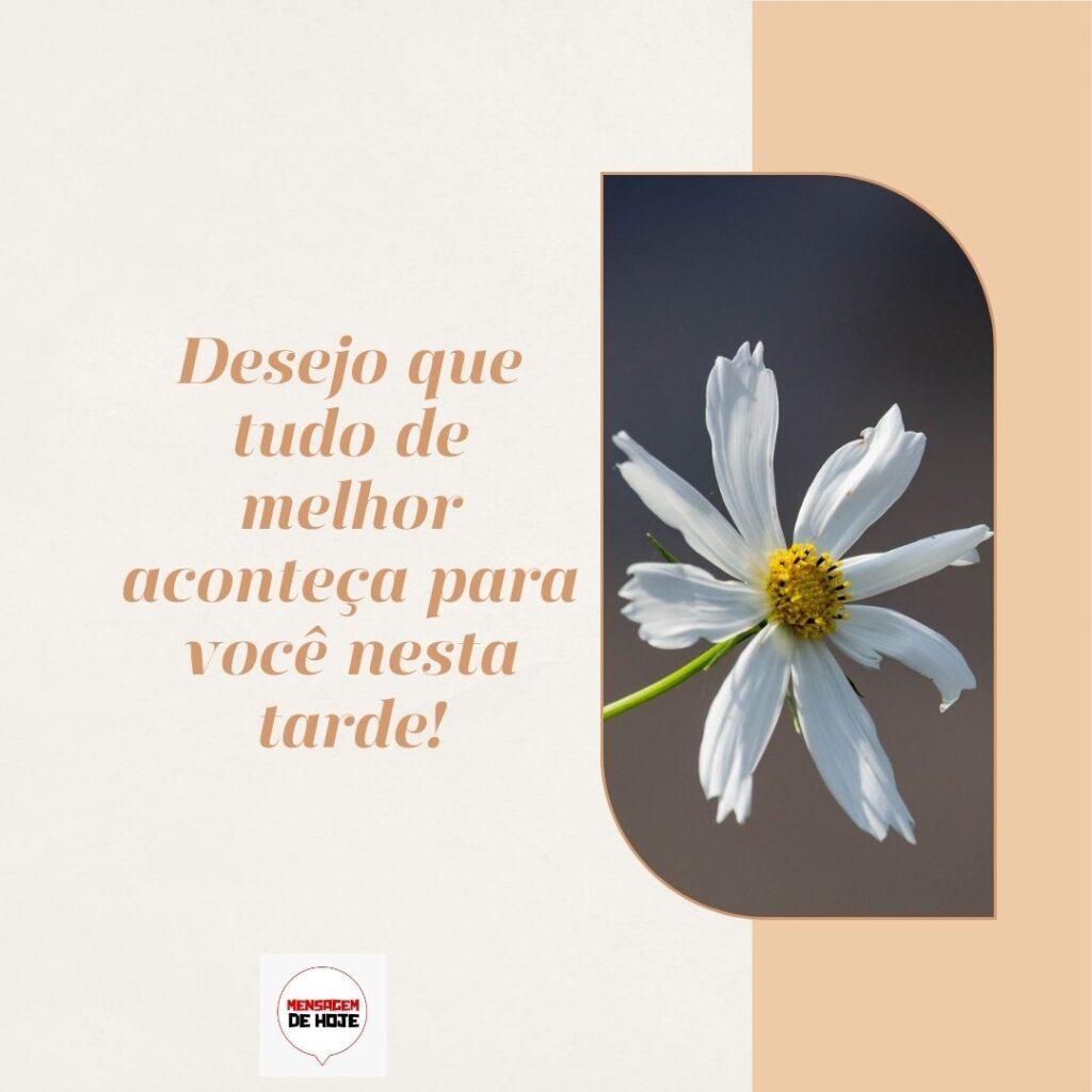Boa Tarde 12 de Fevereiro de 2023 1