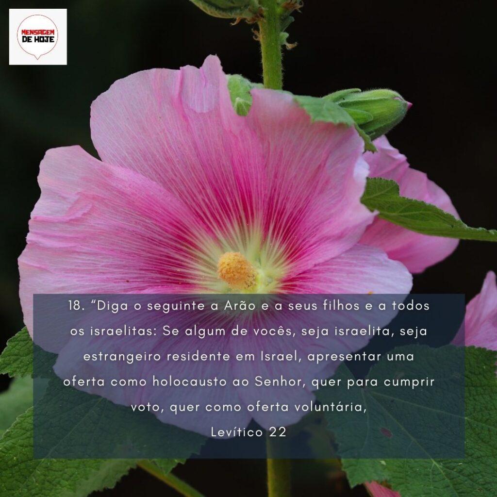 Salmos 05 de Fevereiro de 2023 5