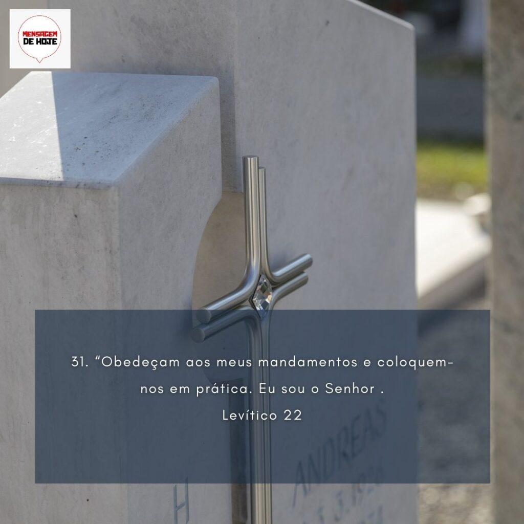 Salmos 06 de Fevereiro de 2023 11