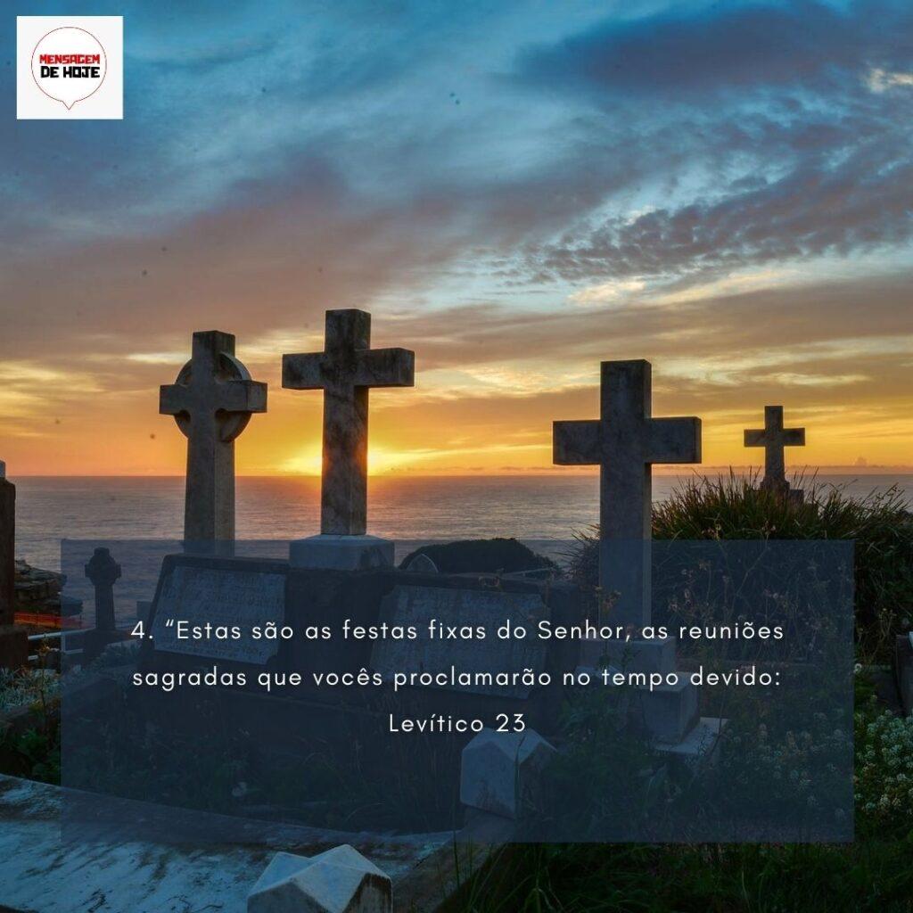 Salmos 06 de Fevereiro de 2023 3