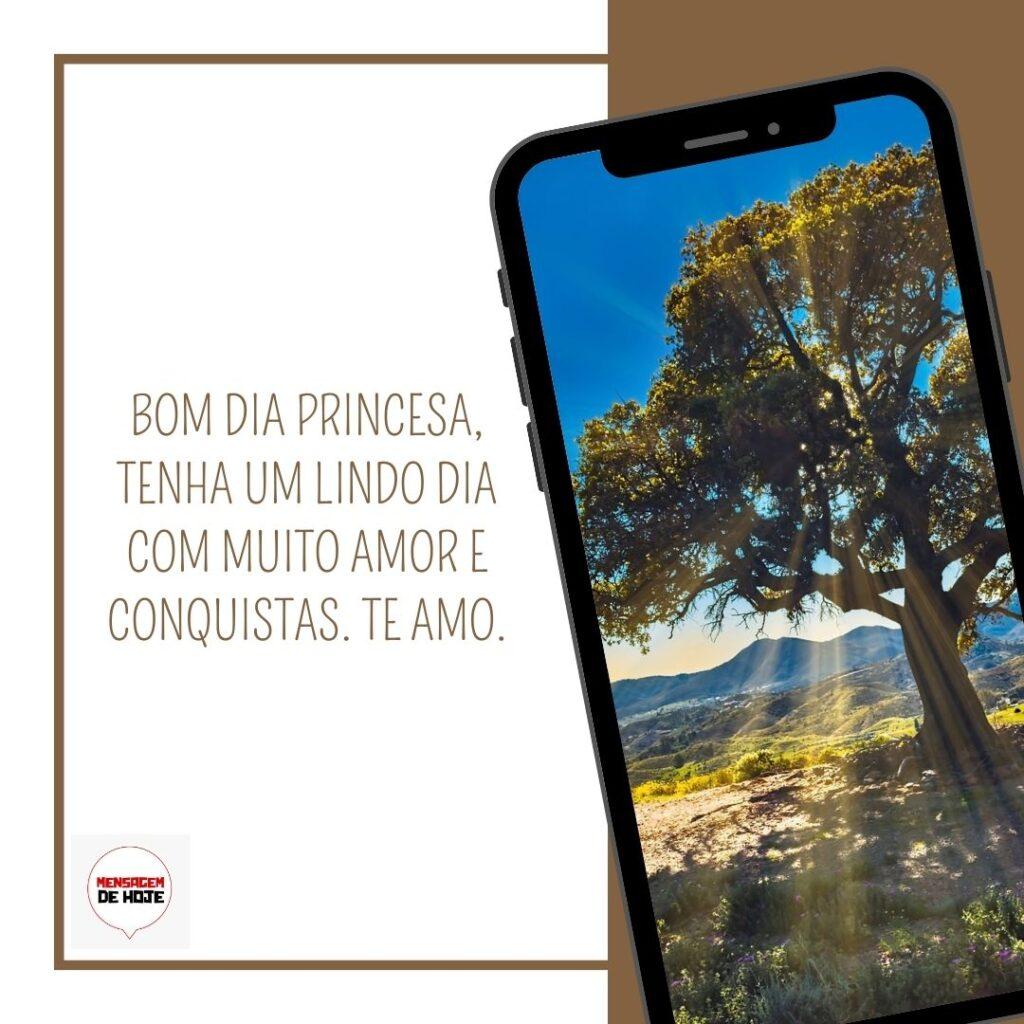 Bom Dia 17 de Fevereiro de 2023 15
