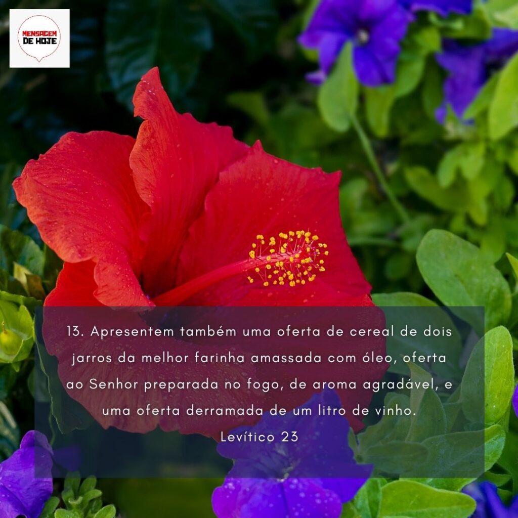 Salmos 07 de Fevereiro de 2023 1