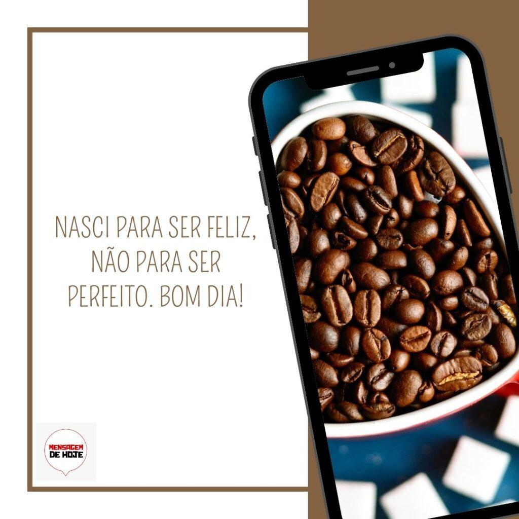 Bom Dia 17 de Fevereiro de 2023 1