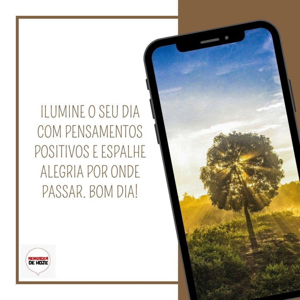 Bom Dia 17 de Fevereiro de 2023 3