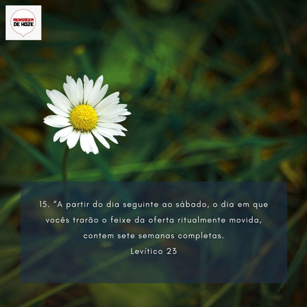 Salmos 08 de Fevereiro de 2023 5