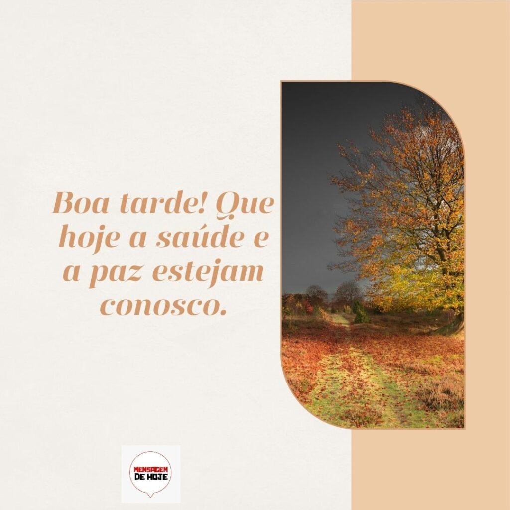 Boa Tarde 16 de Fevereiro de 2023 7
