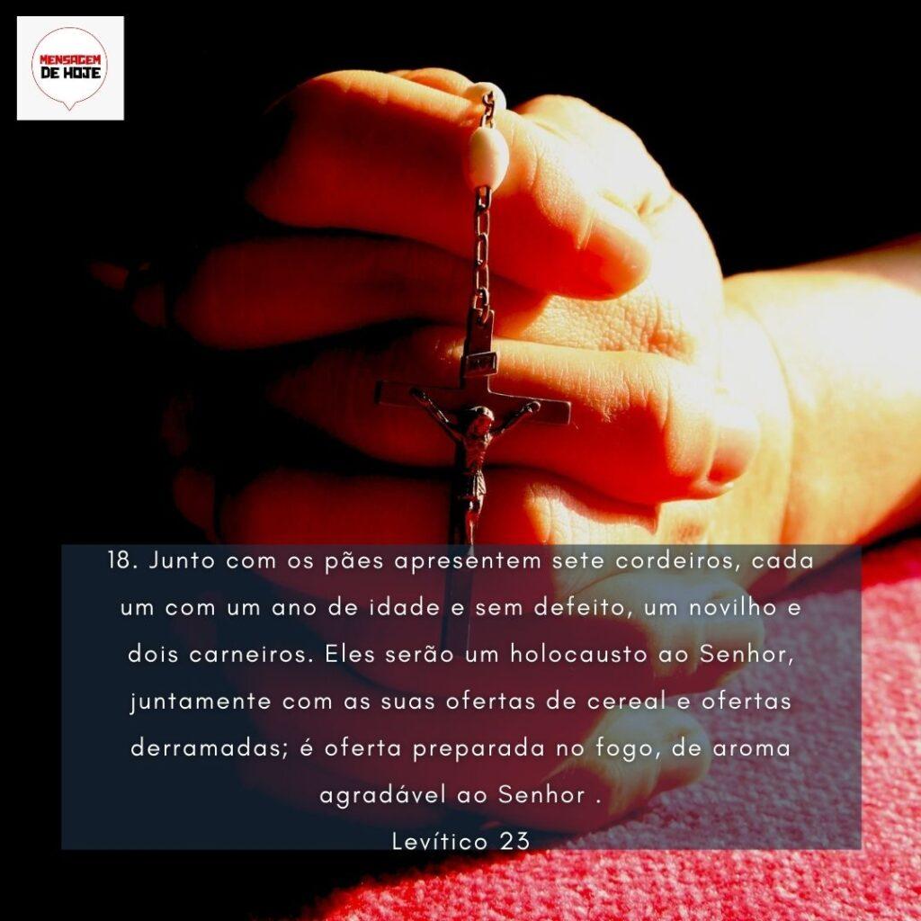 Salmos 08 de Fevereiro de 2023 11