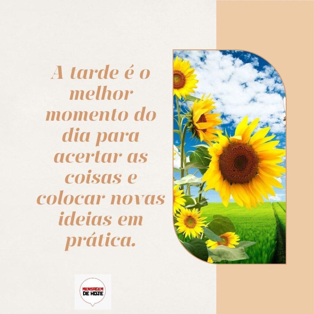 Boa Tarde 16 de Fevereiro de 2023 13