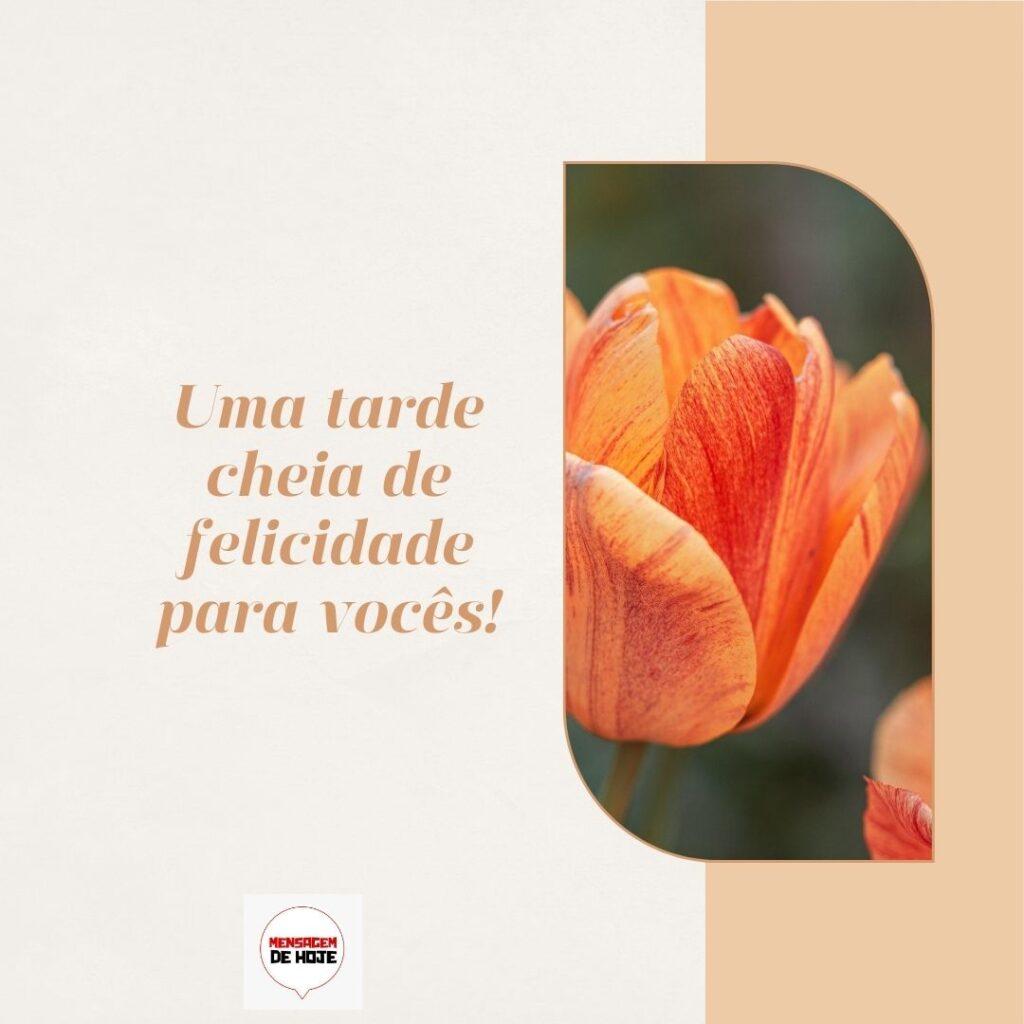 Boa Tarde 16 de Fevereiro de 2023 17