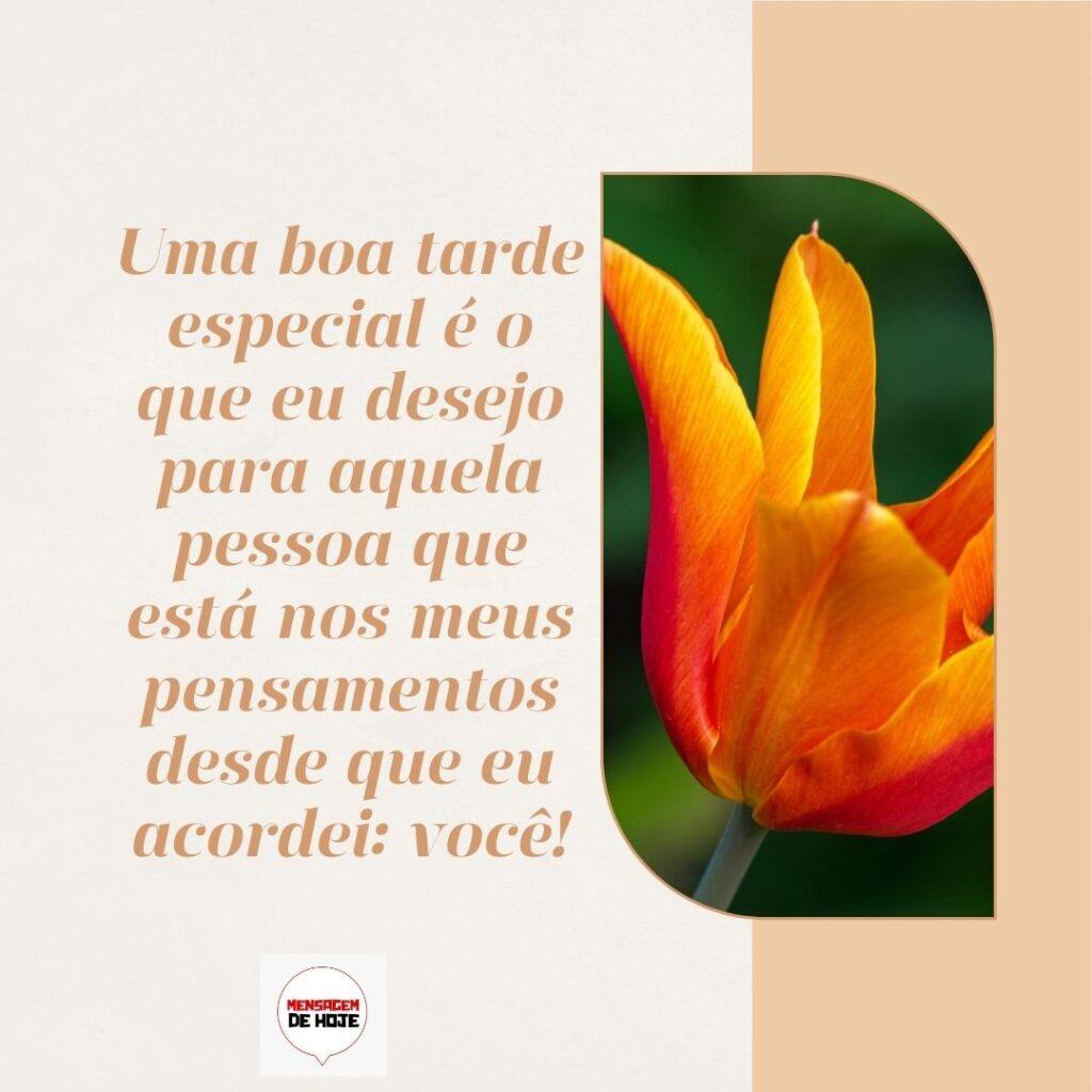 Boa Tarde 04 de Fevereiro de 2023 13