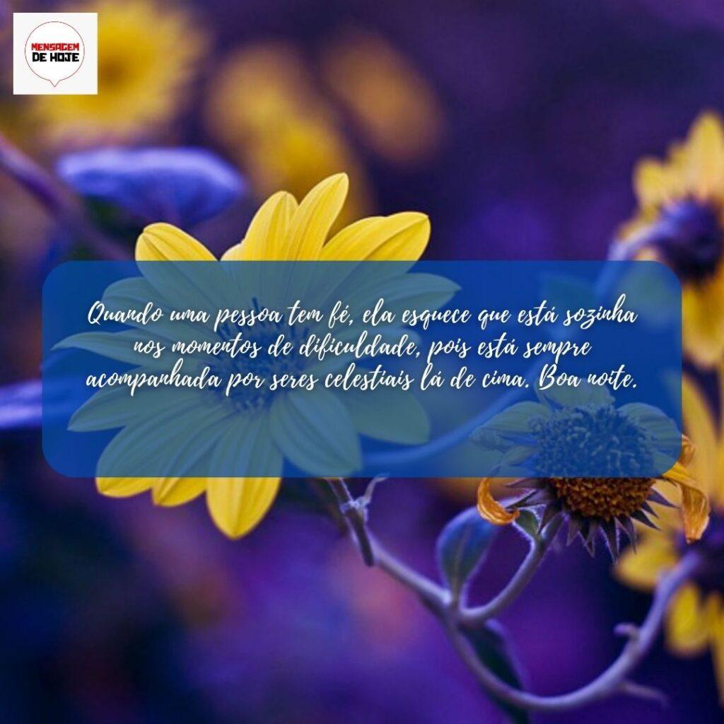 Boa Noite 08 de Fevereiro de 2023 13