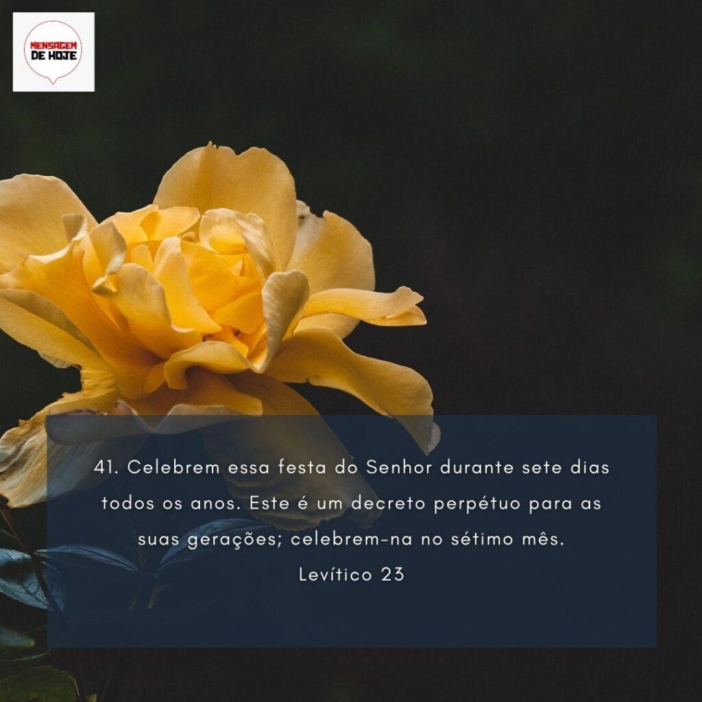 Salmos 10 de Fevereiro de 2023 19
