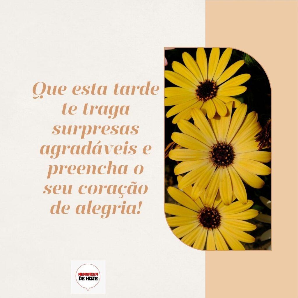 Boa Tarde 25 de Fevereiro de 2023 17