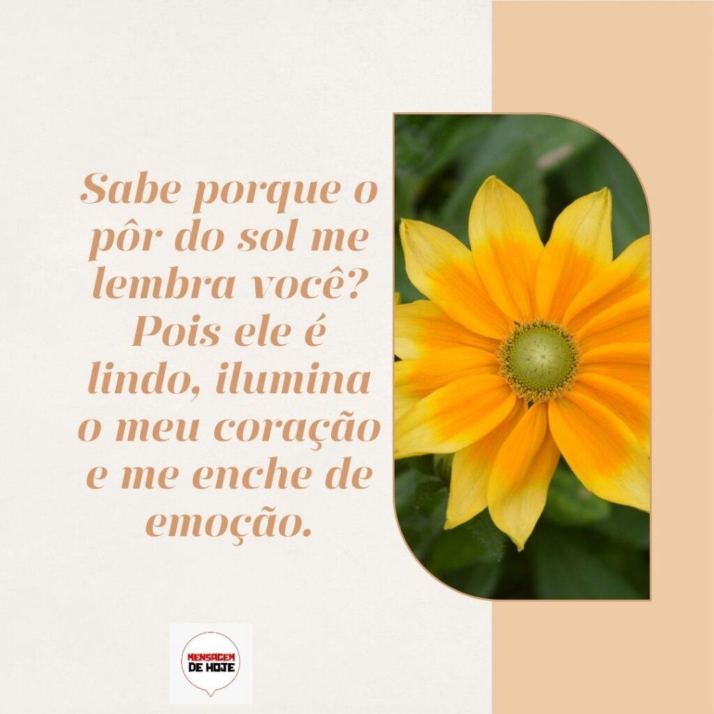 Boa Tarde 06 de Fevereiro de 2023 9