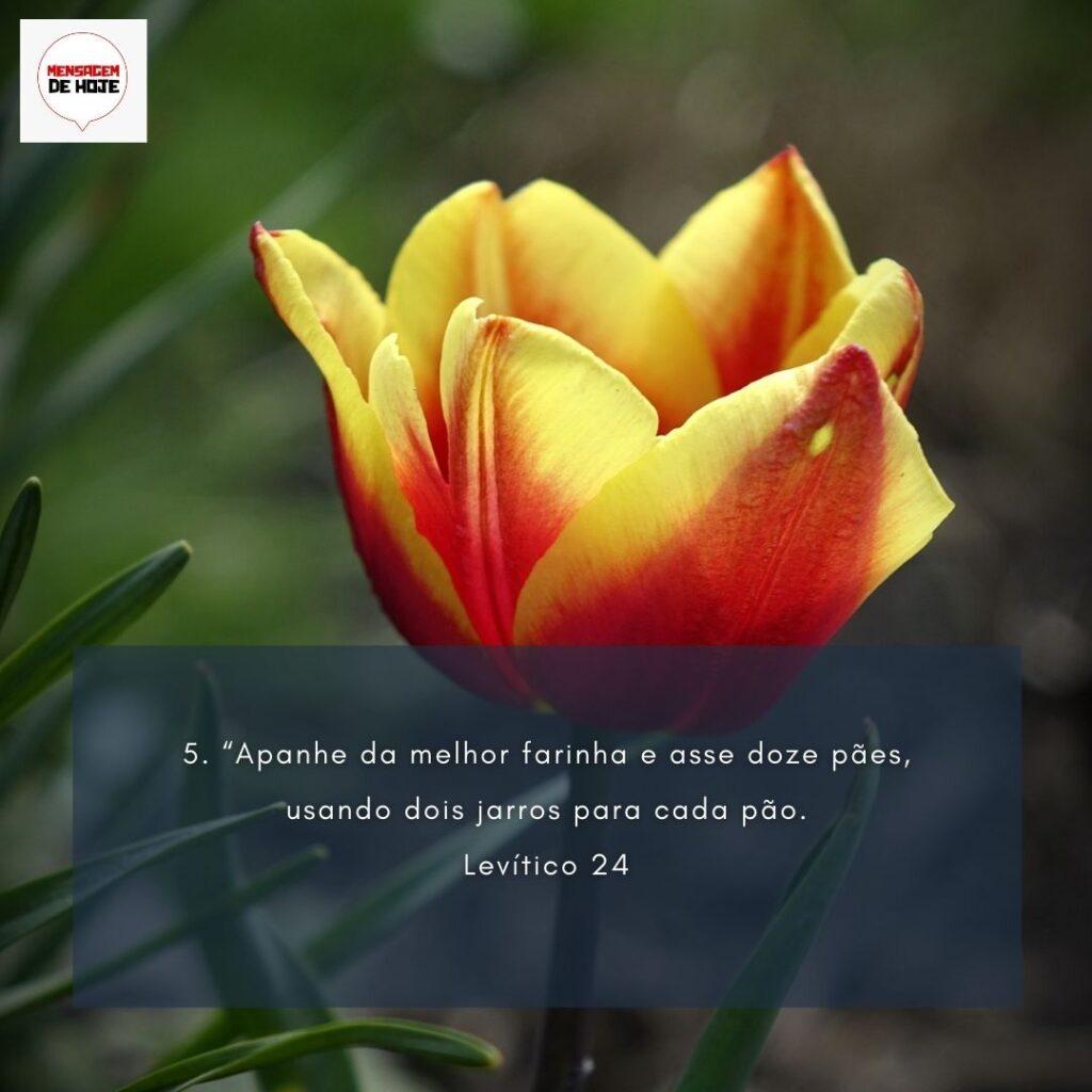 Salmos 11 de Fevereiro de 2023 13
