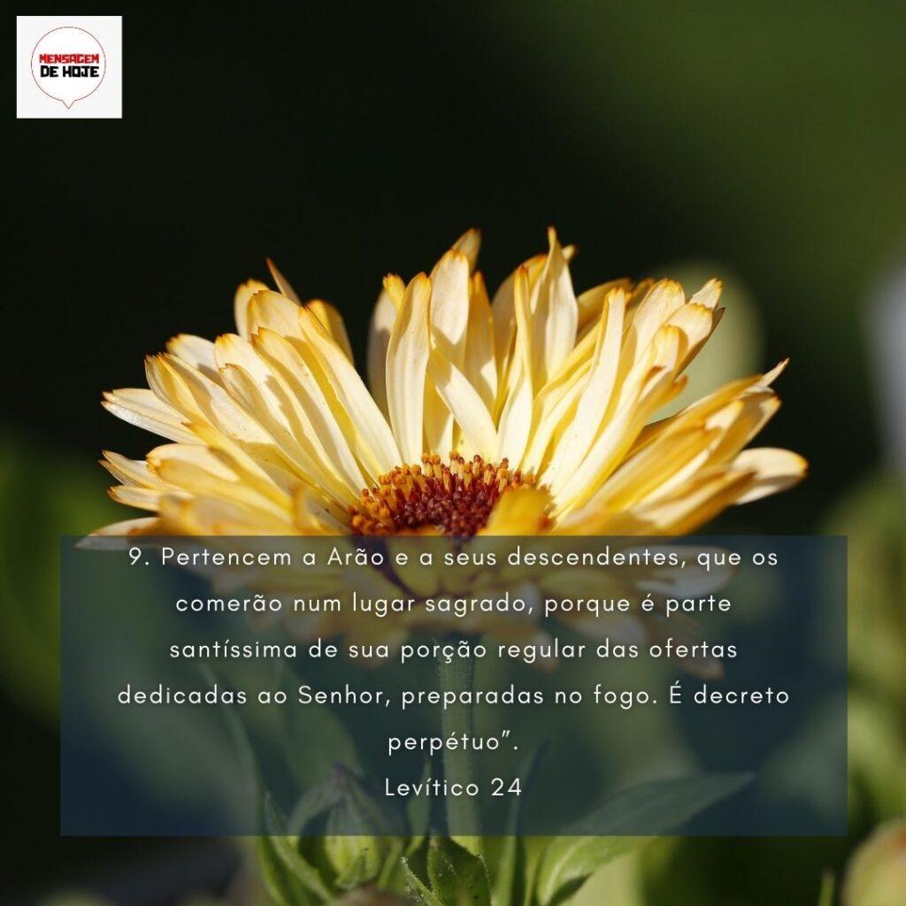 Salmos 11 de Fevereiro de 2023 1