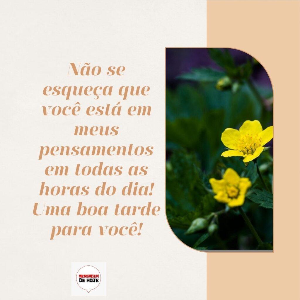 Boa Tarde 25 de Fevereiro de 2023 1