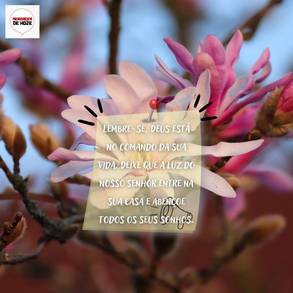 Boa Noite 13 de Fevereiro de 2023 9