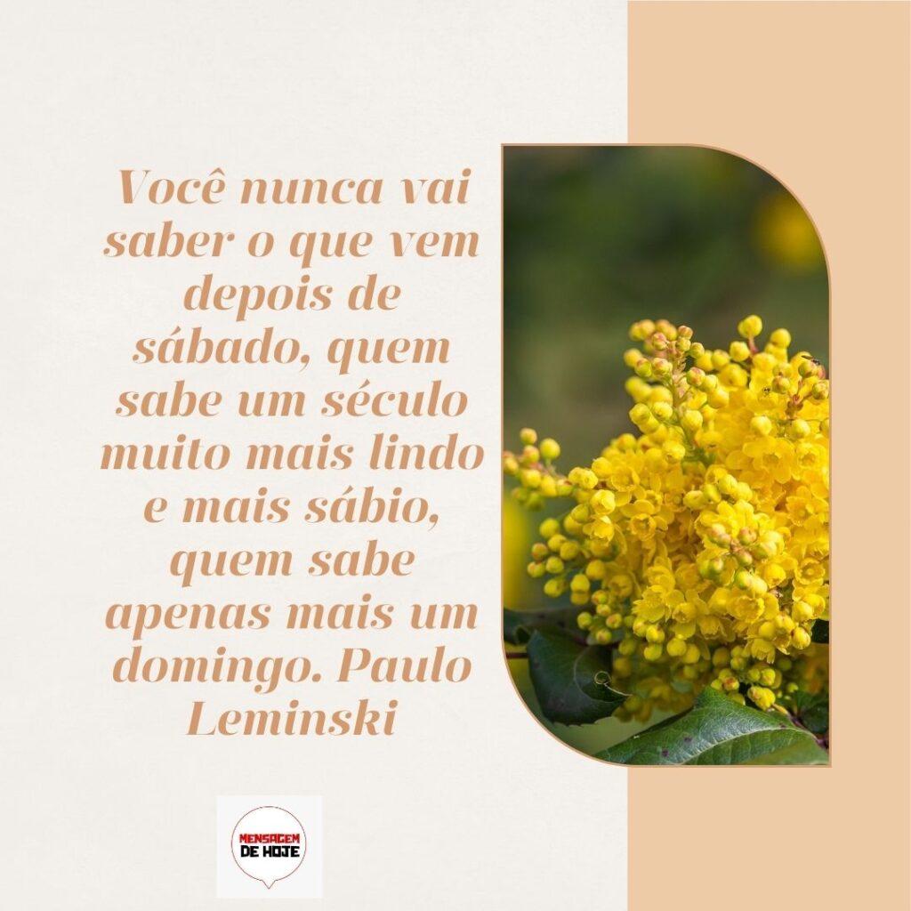 Boa Tarde 24 de Fevereiro de 2023 9
