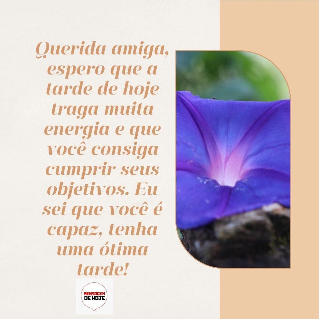 Boa Tarde 27 de Fevereiro de 2023 17