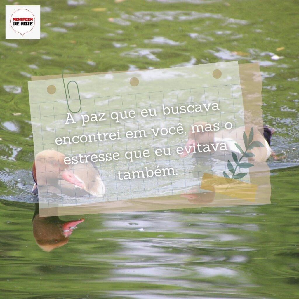 Pensamentos 13 de Fevereiro de 2023 11