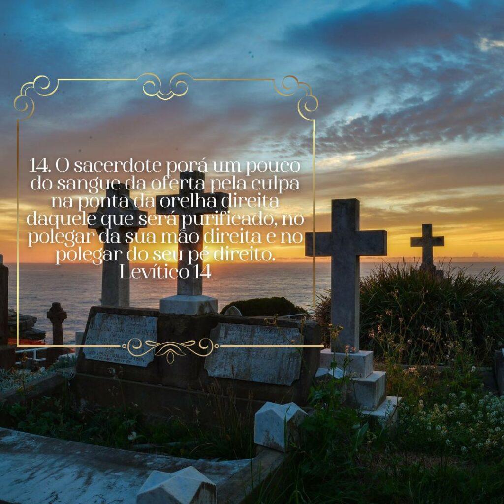 Salmos 18 de Fevereiro de 2023 1