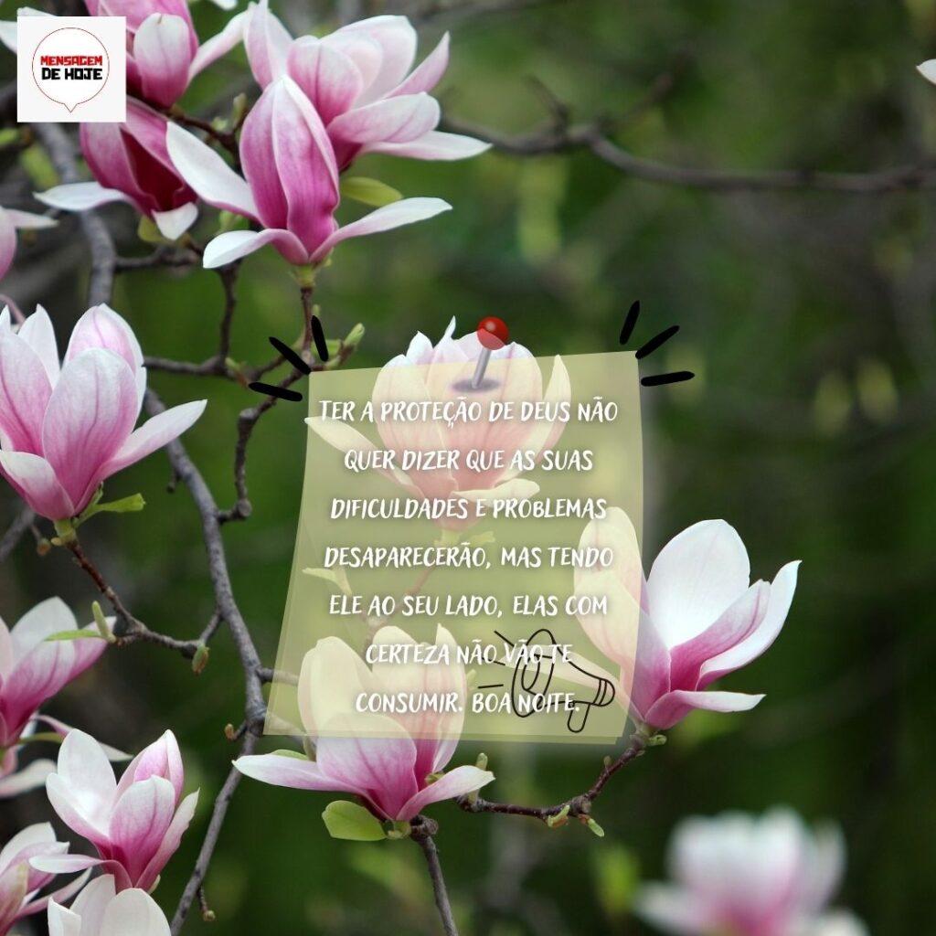 Boa Noite 13 de Fevereiro de 2023 13