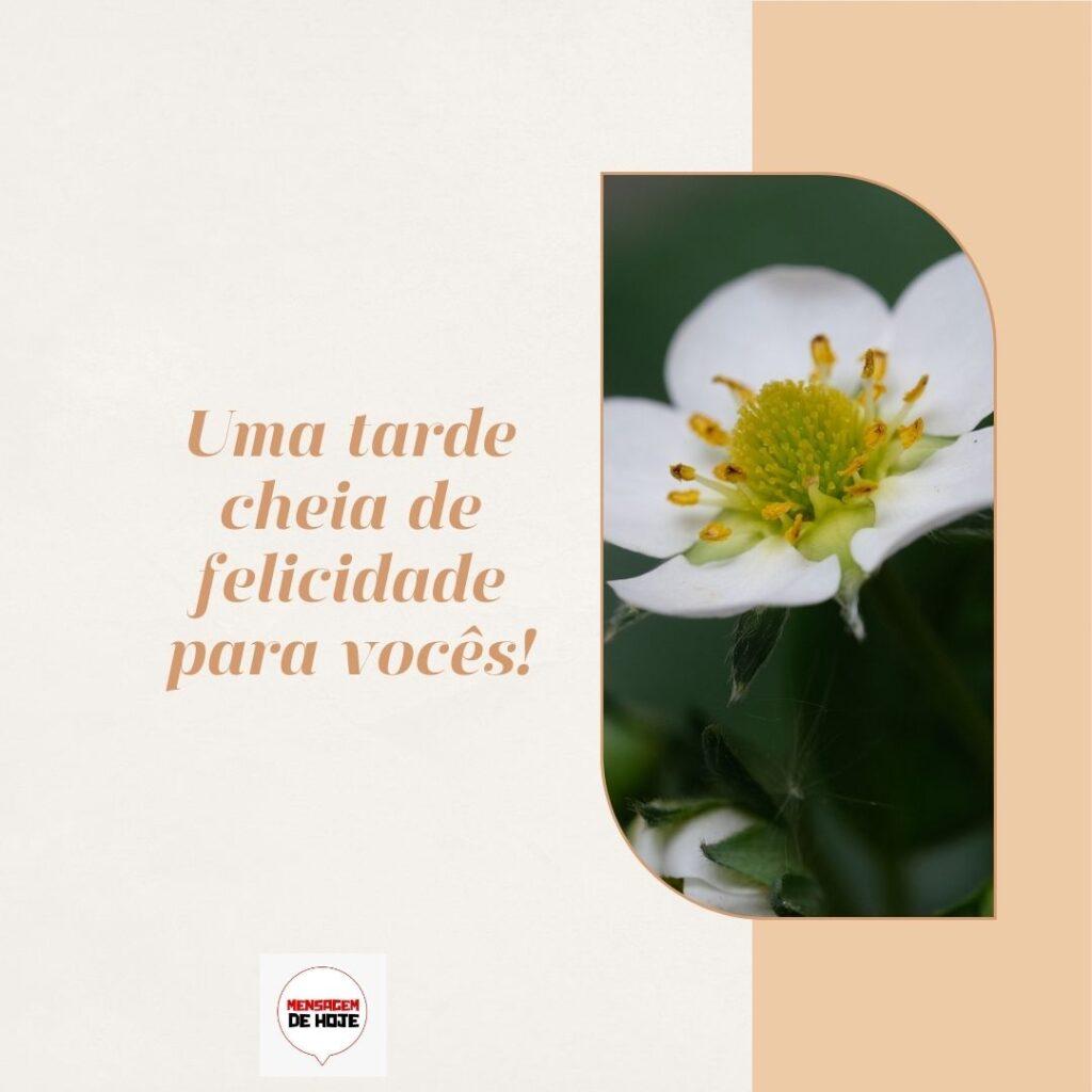Boa Tarde 17 de Fevereiro de 2023 13