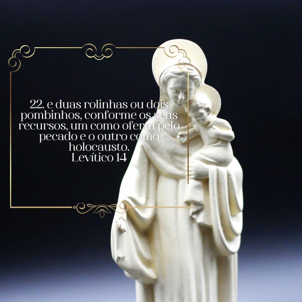 Salmos 19 de Fevereiro de 2023 17