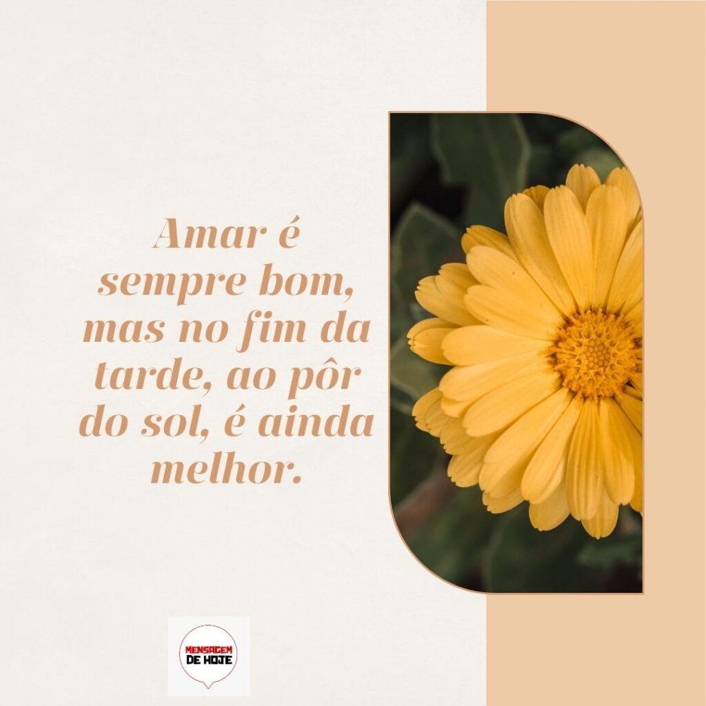 Boa Tarde 08 de Fevereiro de 2023 9