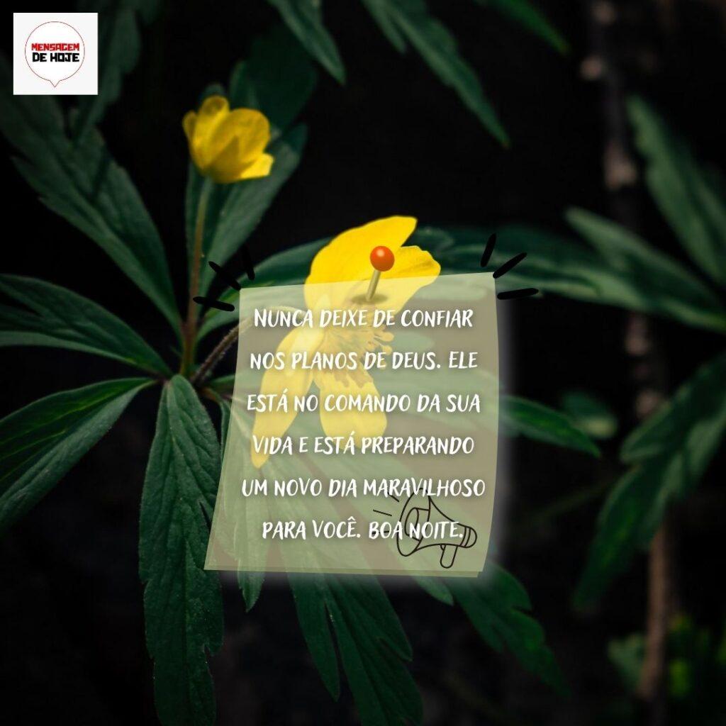 Boa Noite 13 de Fevereiro de 2023 17