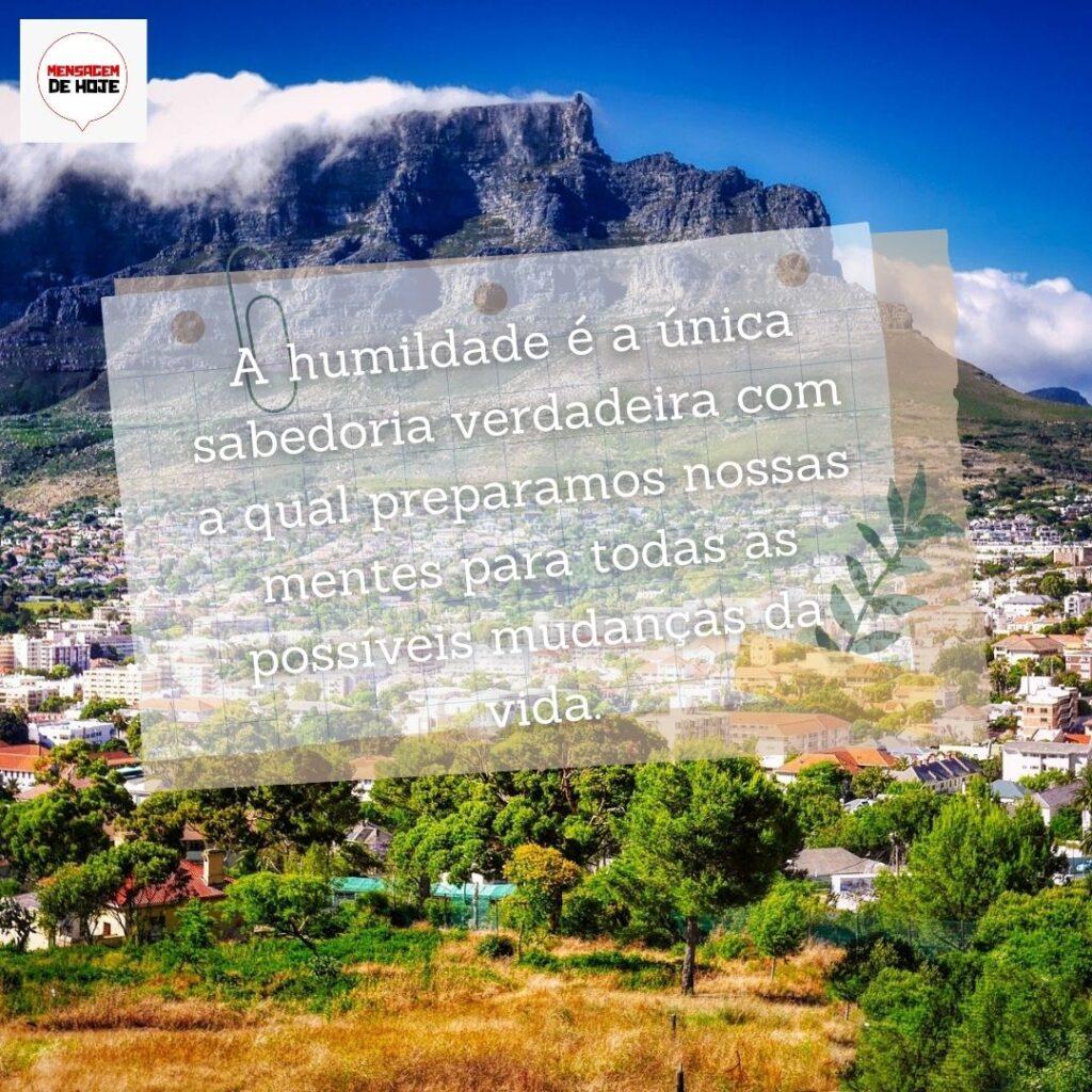 Pensamentos 19 de Fevereiro de 2023 3