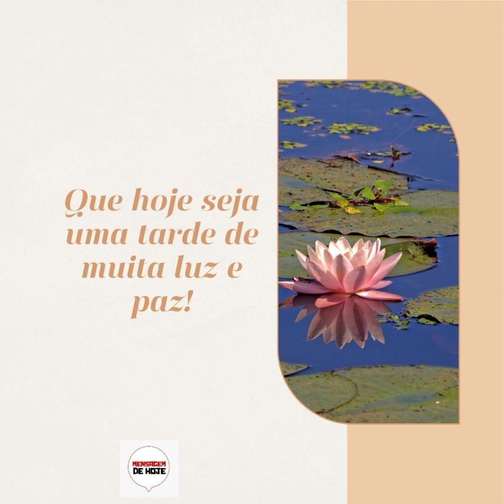 Boa Tarde 09 de Fevereiro de 2023 17