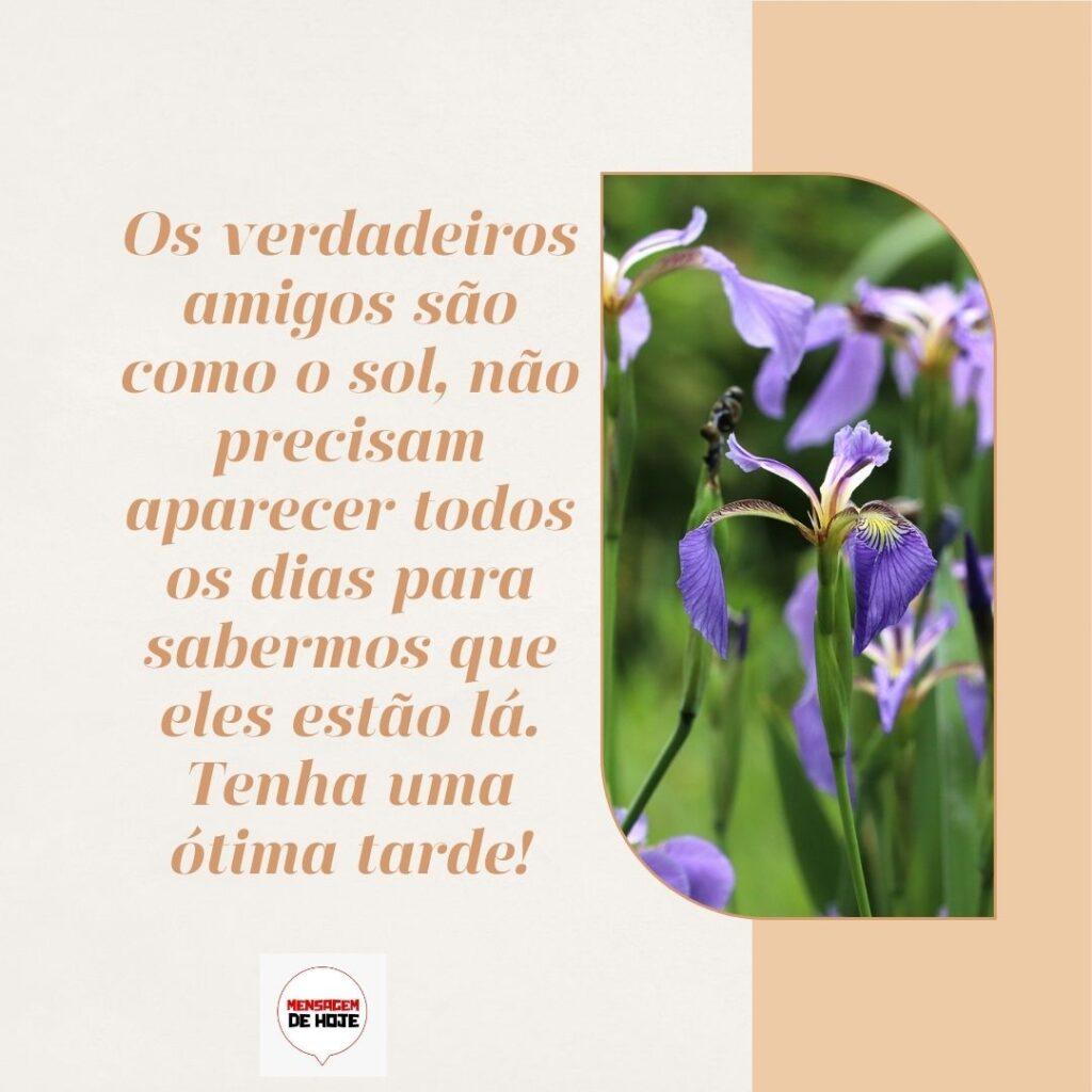 Boa Tarde 10 de Fevereiro de 2023 11