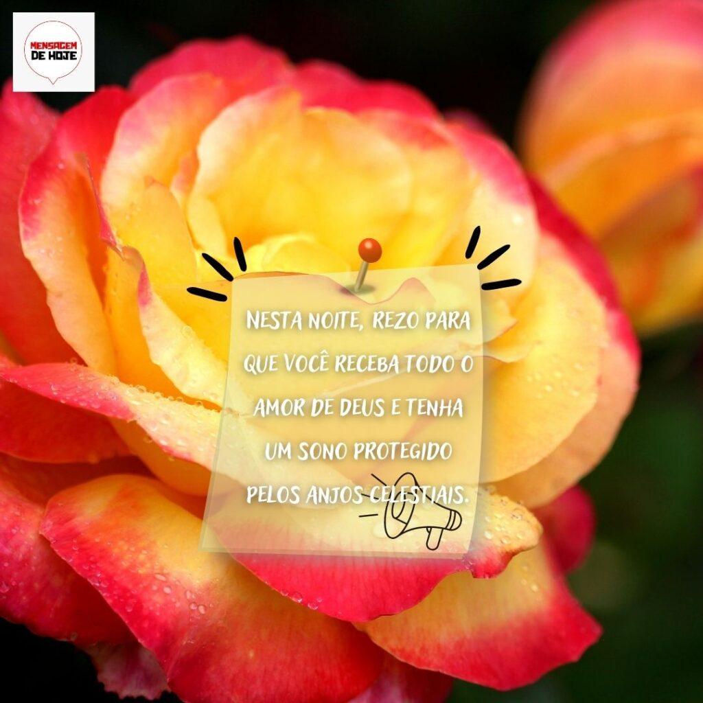 Boa Noite 13 de Fevereiro de 2023 1