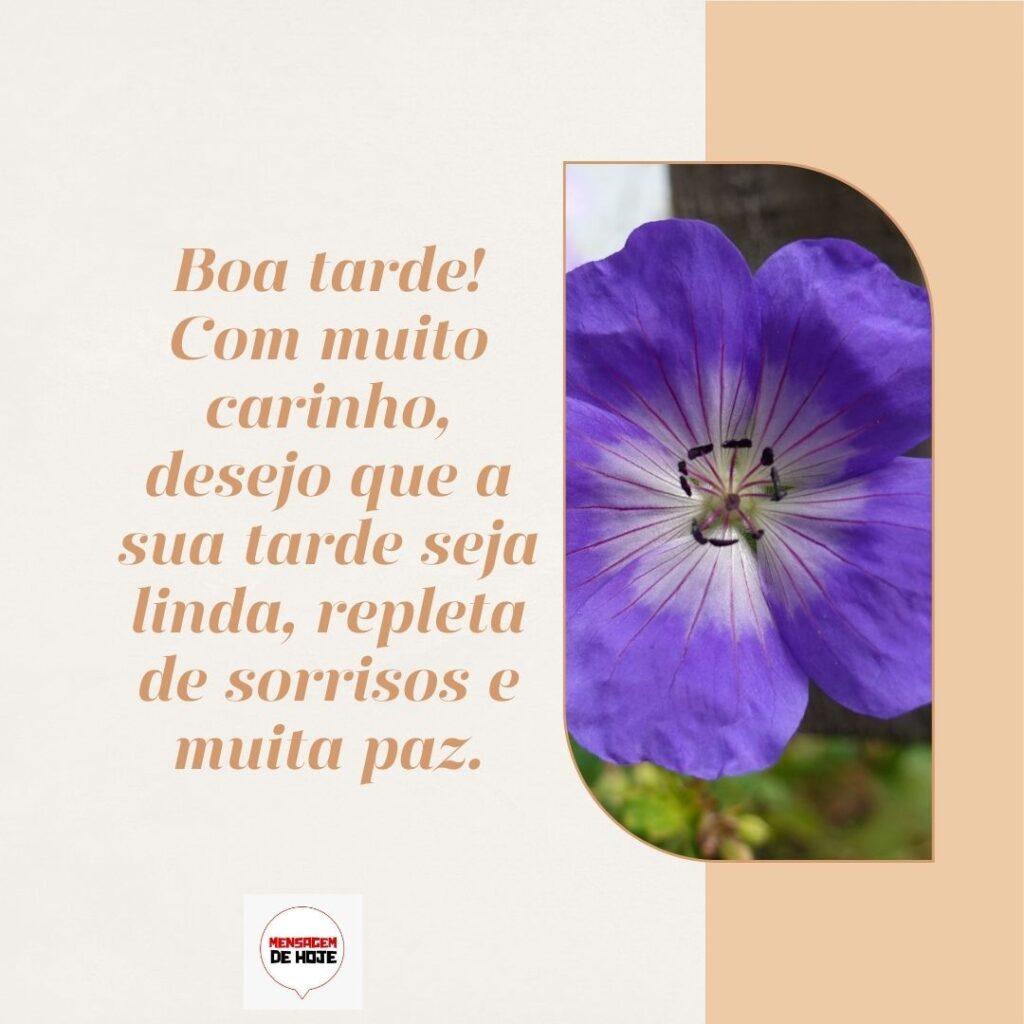Boa Tarde 11 de Fevereiro de 2023 5