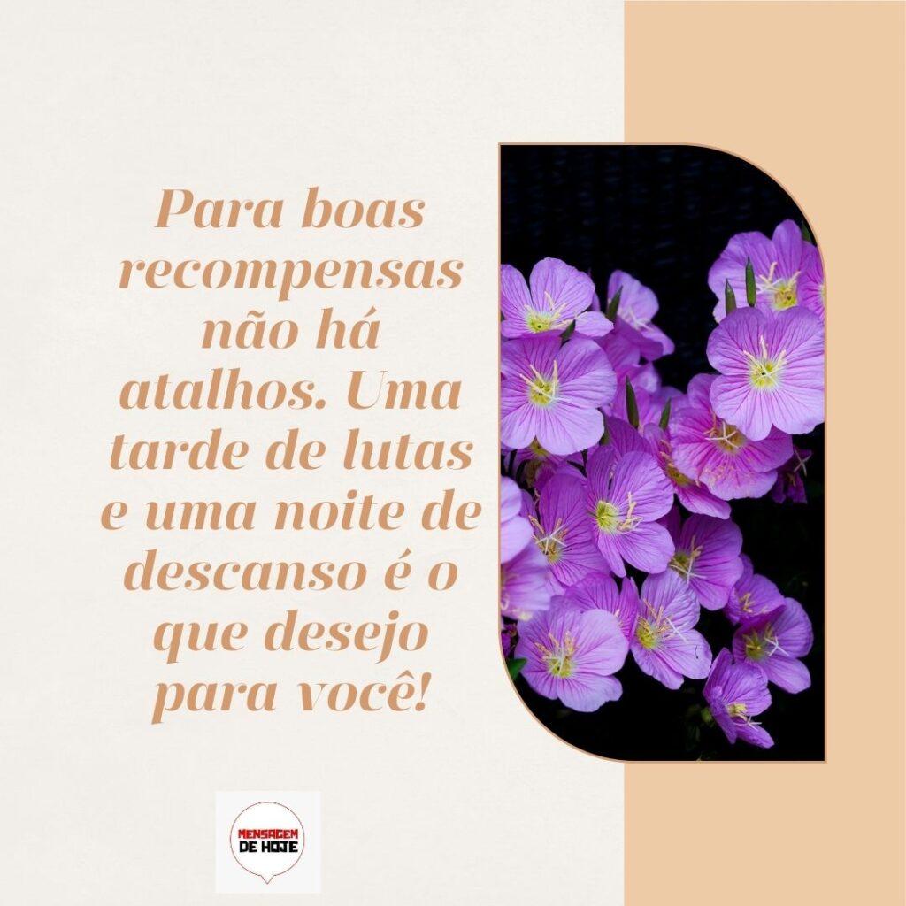 Boa Tarde 11 de Fevereiro de 2023 9