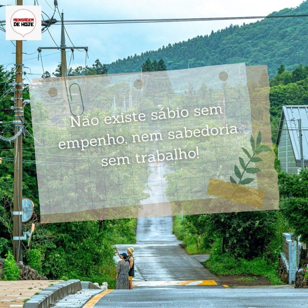 Pensamentos 22 de Fevereiro de 2023 17