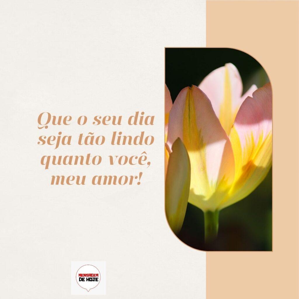 Boa Tarde 11 de Fevereiro de 2023 17