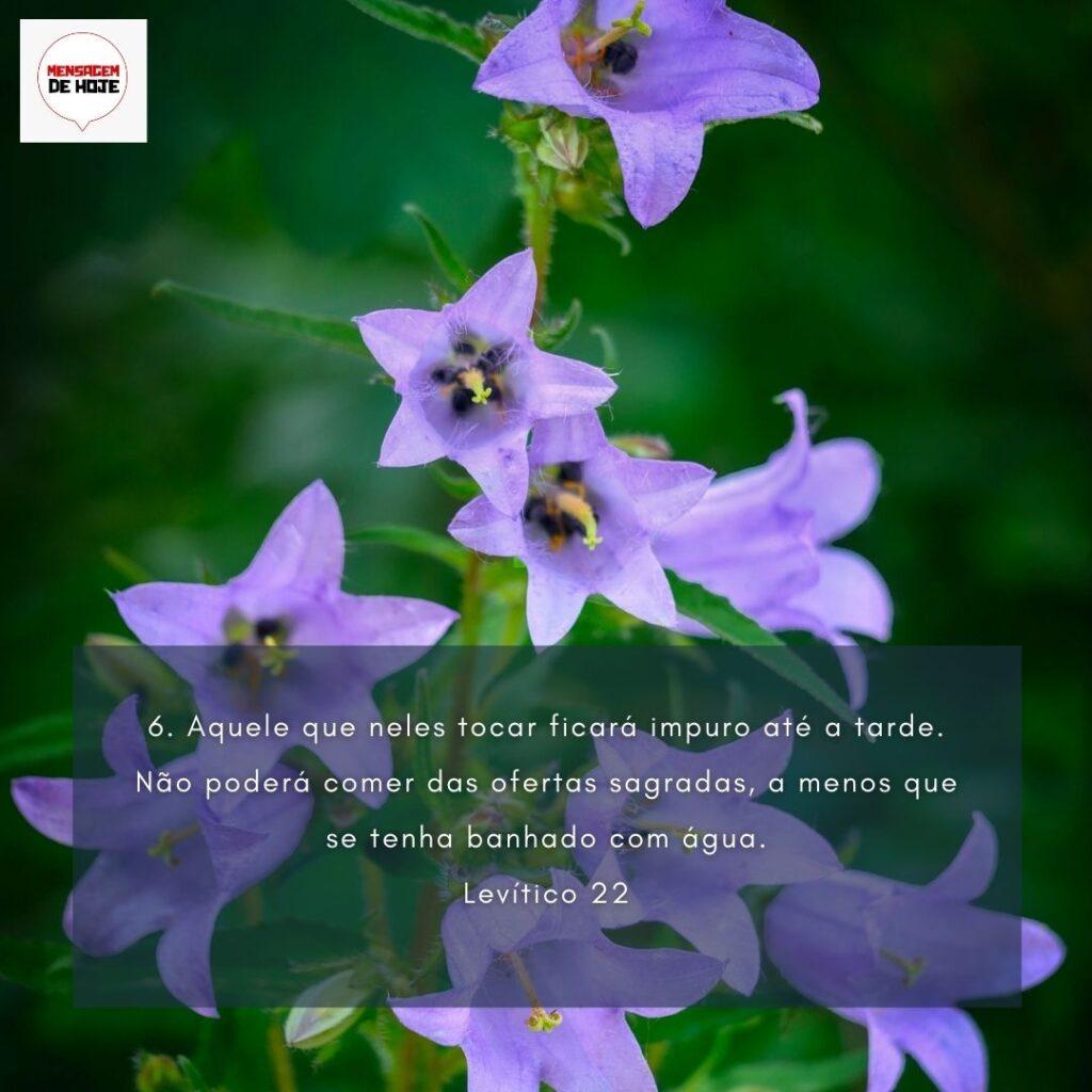 Salmos 03 de Fevereiro de 2023 1